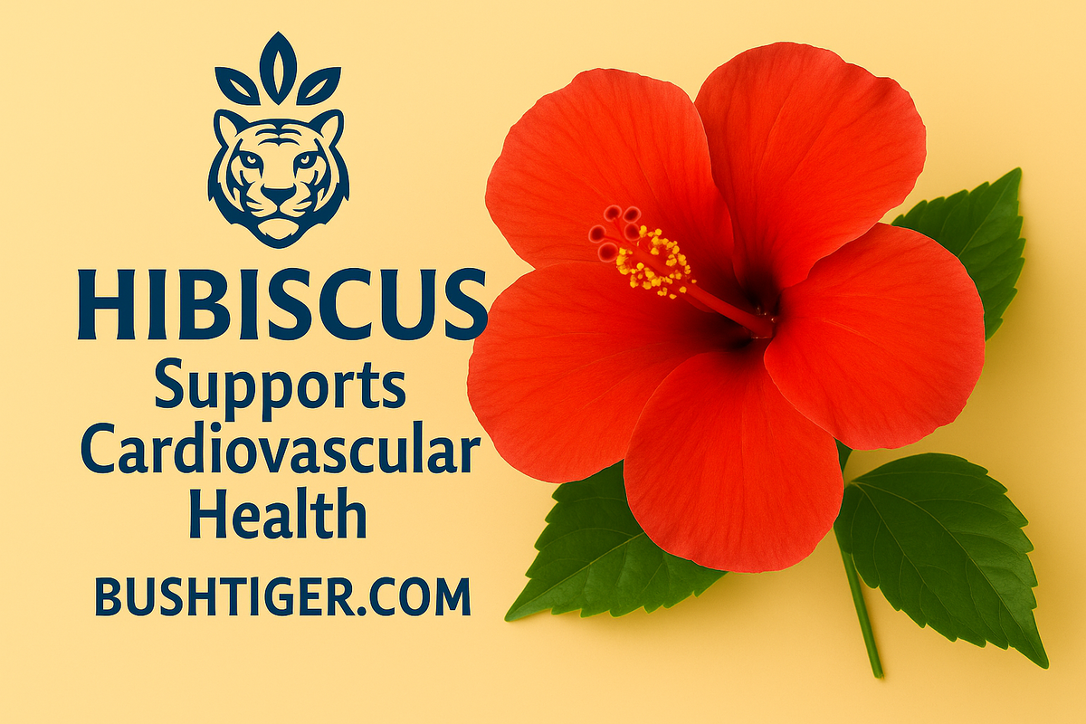 🌺 Hibiscus: A Time-Honored Herb for Circulation &amp; Balance
